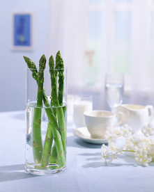 清新脱俗的芦笋