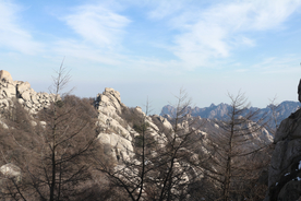 崂山山石