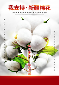 创意PSD我支持新疆棉花海报.