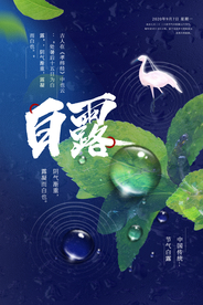 白露节气传统活动宣传海报素材