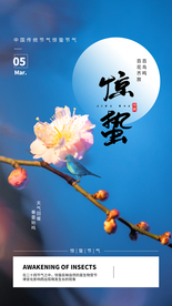 惊蛰节气传统活动宣传海报素材
