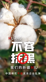 不容抹黑新疆棉花公益海报素材