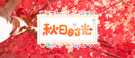 秋天海报