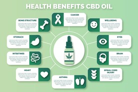 信息图模板 流程