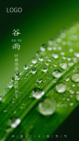 节日节气海报