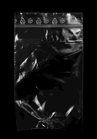 透明褶皱包装塑料袋样机