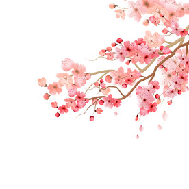 卡通装饰插画花朵元素