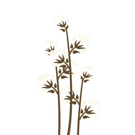 卡通插画植物棉花元素