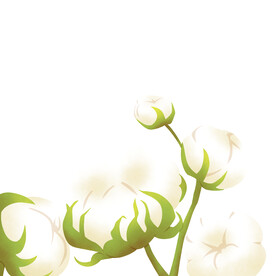 植物棉花元素