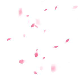 卡通装饰插画花瓣元素