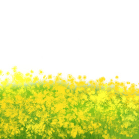 卡通插画油菜花元素