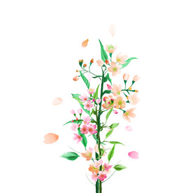 插画花朵植物绿色元素