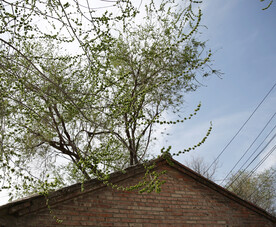 屋檐
