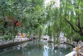 两树相吻