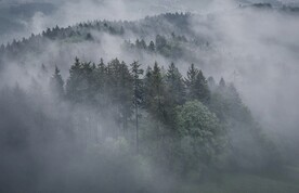 山谷中的烟雾