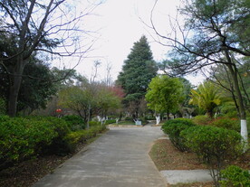 公园