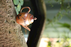 柴烧茶壶