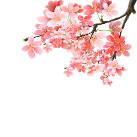 插画卡通花朵元素