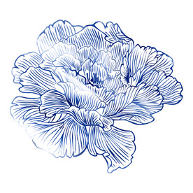 线条装饰青花元素