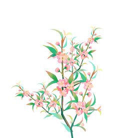 插画装饰花朵卡通元素
