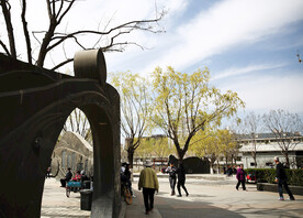 城市公园