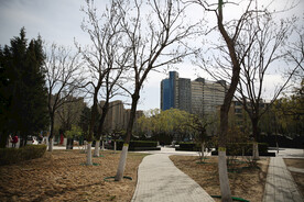 城市公园