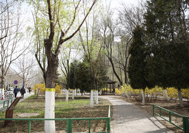 城市公园