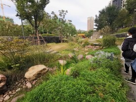 郑州   永威   金域上院 