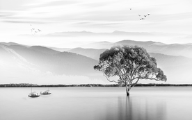 山水画 灰色山水 装饰画 背景