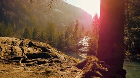 短视频素材夕阳掠过湖边树林