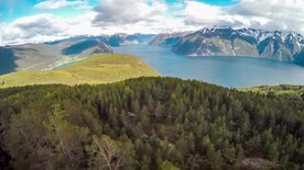 航拍森林河流远山