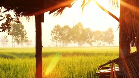 宣传片太阳经过草地房屋素材