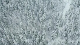 航拍高清4K视频冬季白雪森林