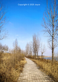 河堤路一角