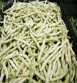 豆角