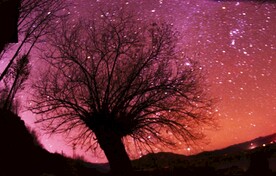 西藏风景 大叔 星空