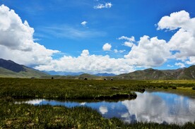 西藏风景小河