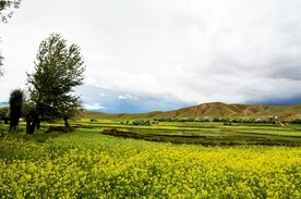 西藏风景