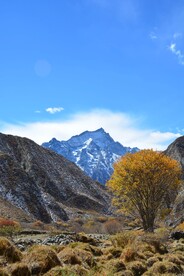 西藏风景雪山