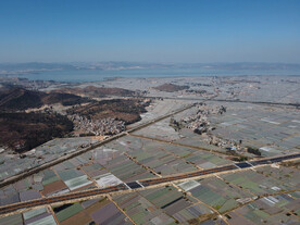 田野
