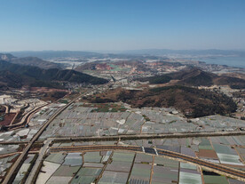 田野
