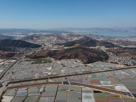 田野