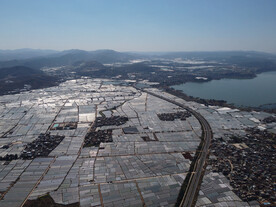 田野