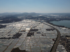 田野