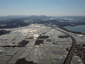 田野