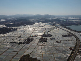 田野