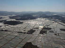 田野