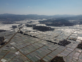 田野