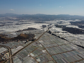 田野
