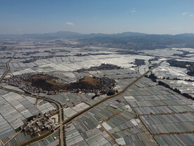田野
